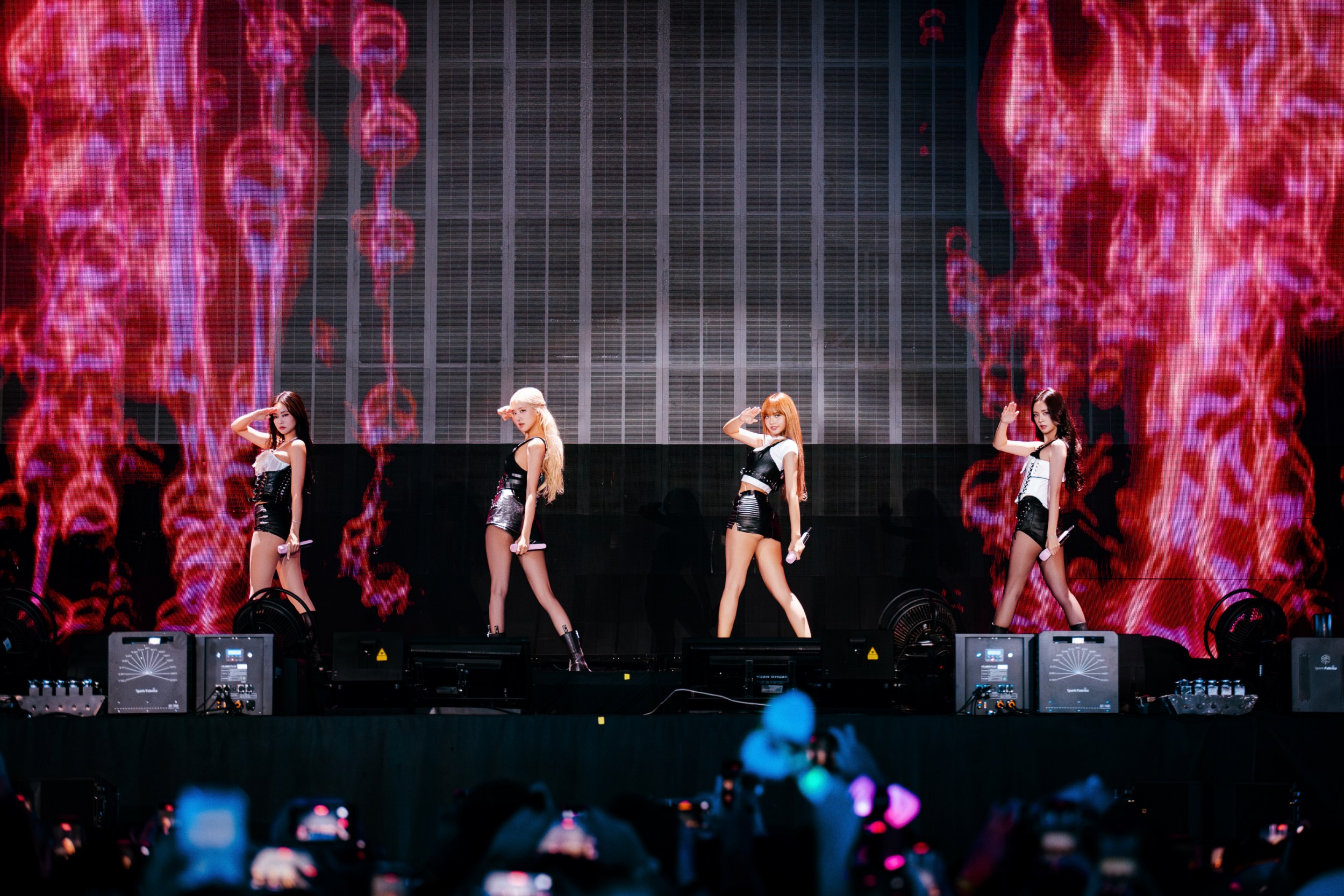 BLACKPINK高雄開唱。（圖／Live Nation Taiwan提供）