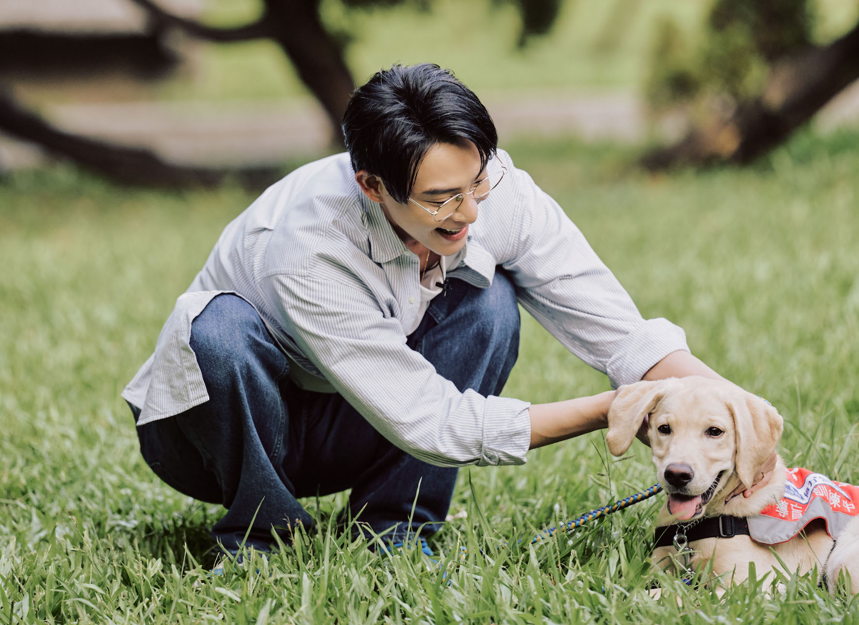 導盲幼犬需要長時間有愛的陪伴,連晨翔號召大家一起加入導盲犬寄宿家庭的行列。(圖/JINS提供)