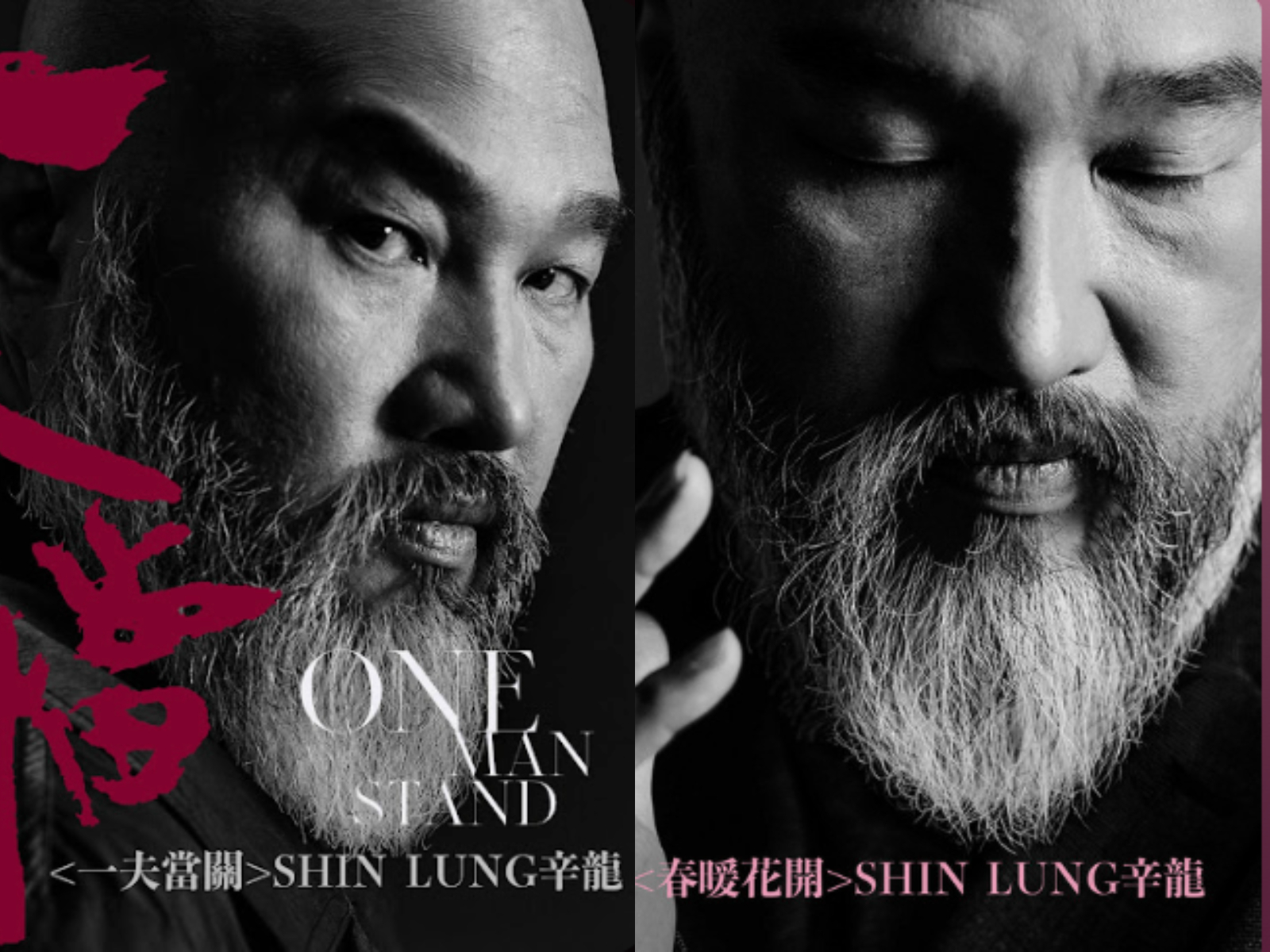 辛龍回歸了！（圖／翻攝辛龍臉書）