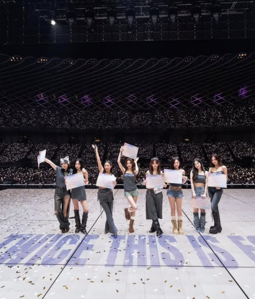 TWICE昨高雄開唱。(圖/翻攝TWICE IG)