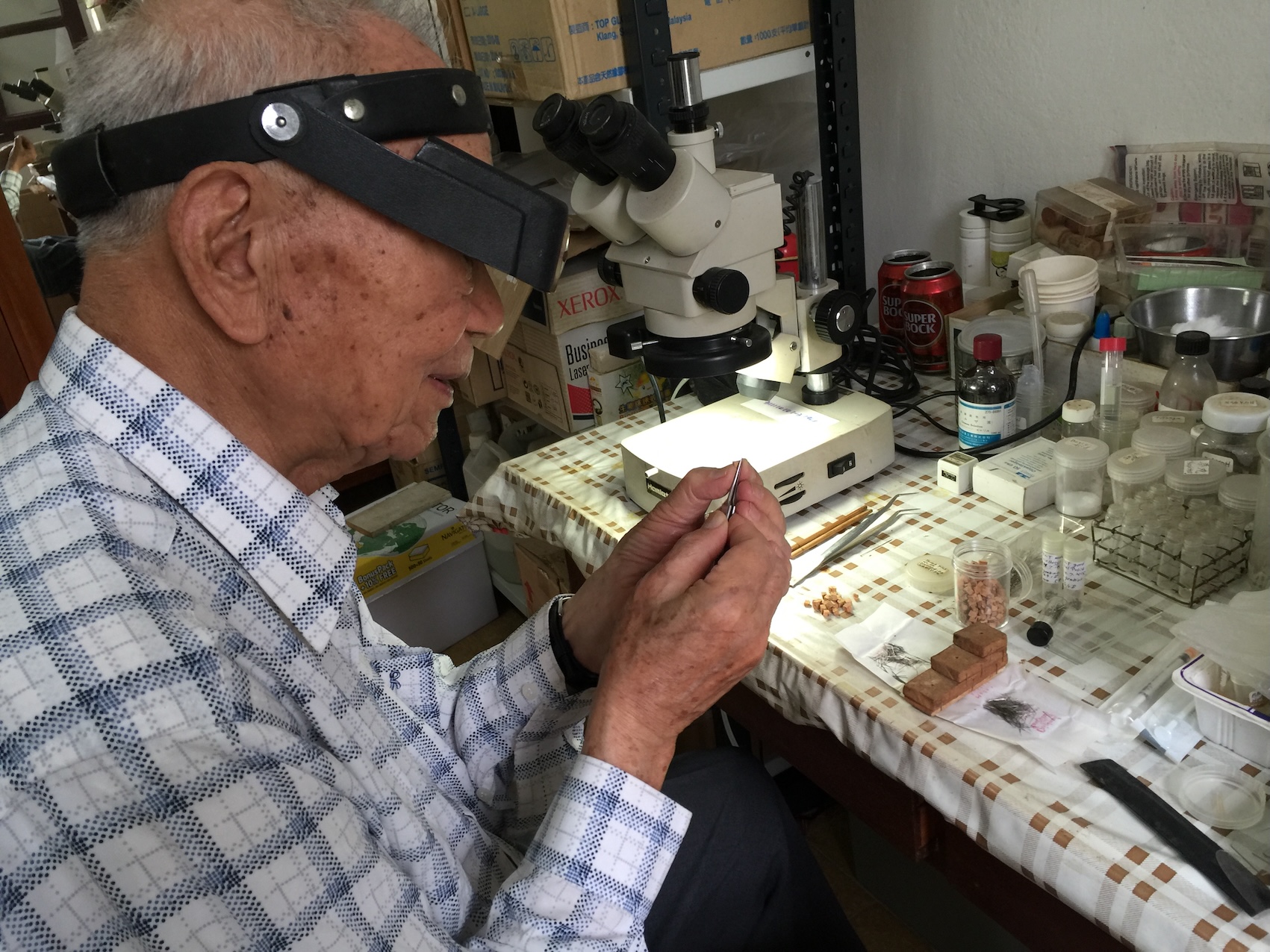 蠓科標本助攻小黑蚊防治！ 科博館獲贈世界級「蚊人」蒐藏