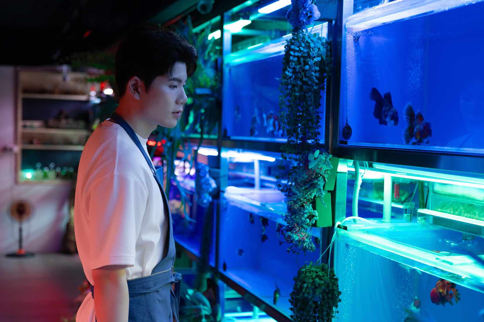 〈對不起我是雙魚座〉MV裡，張鶴曦是一個水族店的店員。（圖／ JSJ 杰思娛樂提供）