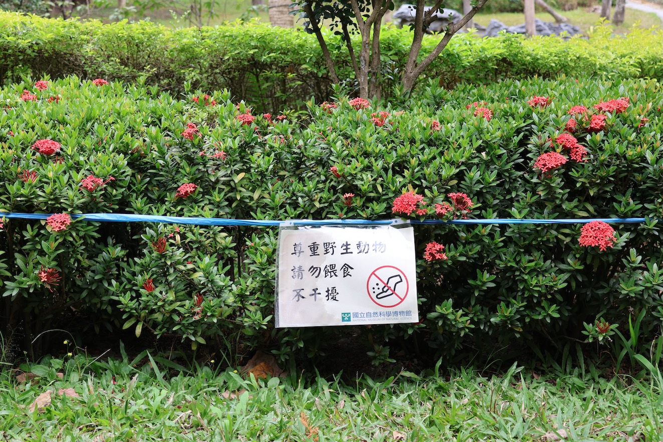 科博館已在部分區域設置警戒線並張貼提醒告示，並由駐警與相關同仁加強巡查，希望民眾共同遵守「不干預、不觸摸、不餵食」等野生動物觀察原則。（圖／科博館提供）