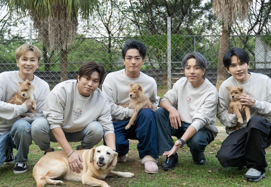 Energy化身大力士！親扛1千公斤飼料送暖　見浪浪撒嬌直呼融化了