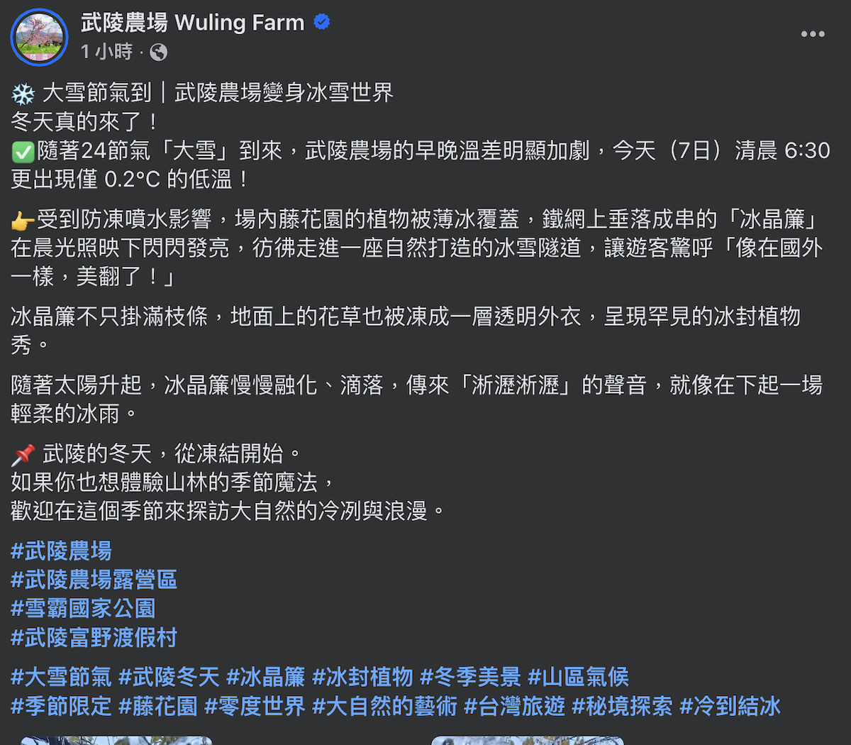 武陵農場清晨「低溫僅0.2度」。(圖/武陵農場提供)