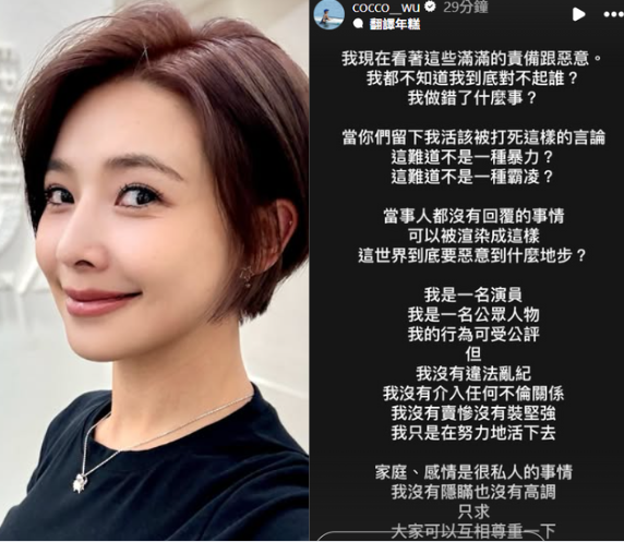 吳婉君發文無奈吐心聲。（圖／翻攝自IG）
