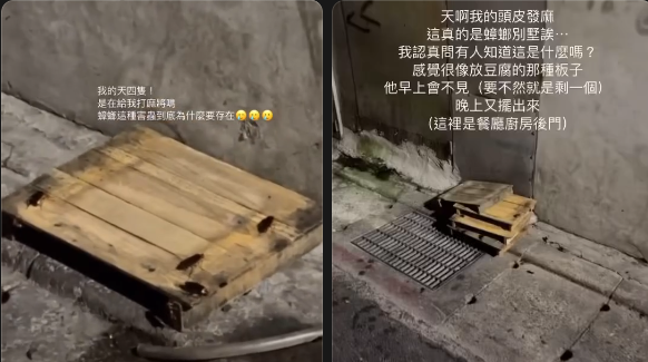四海一家被指食物器具上有蟑螂。（圖／翻攝自Threads）