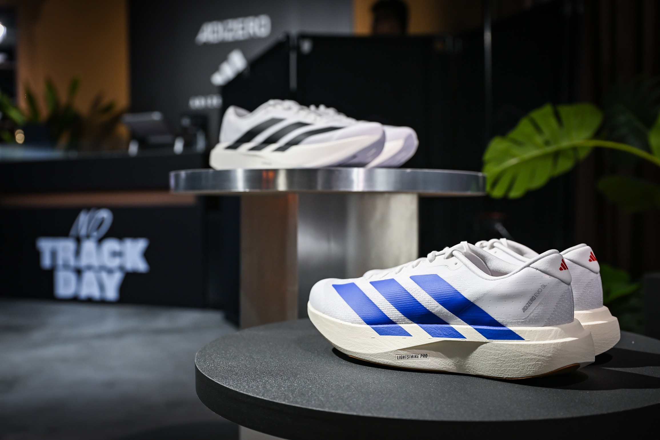 adidas EVO SL。（圖／adidas提供）