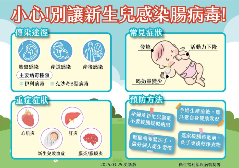 伊科病毒屬於腸病毒的一種。（圖／疾管署提供）