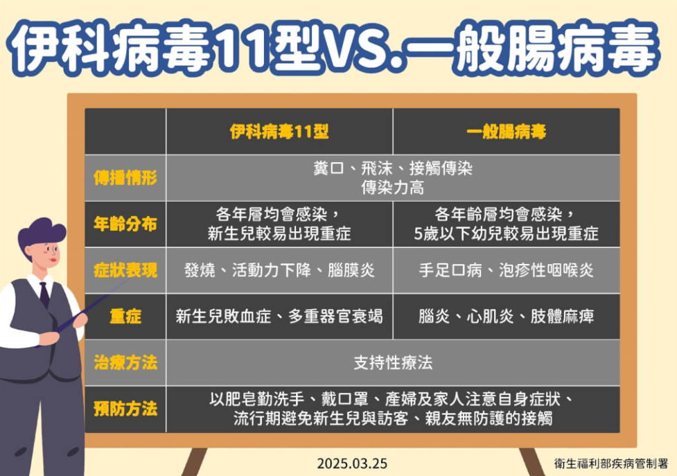 伊科病毒屬於腸病毒的一種。（圖／疾管署提供）