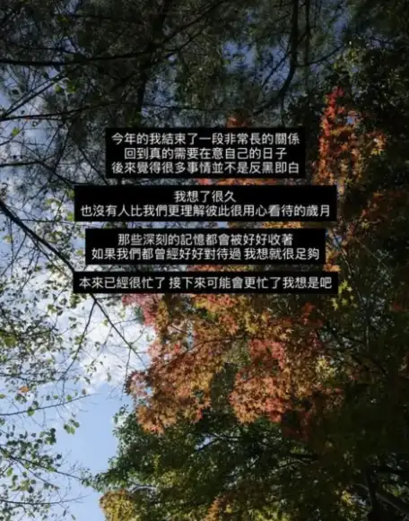 「一隻阿圓」限動證實「結束關係」 。(圖/翻攝Instagram)