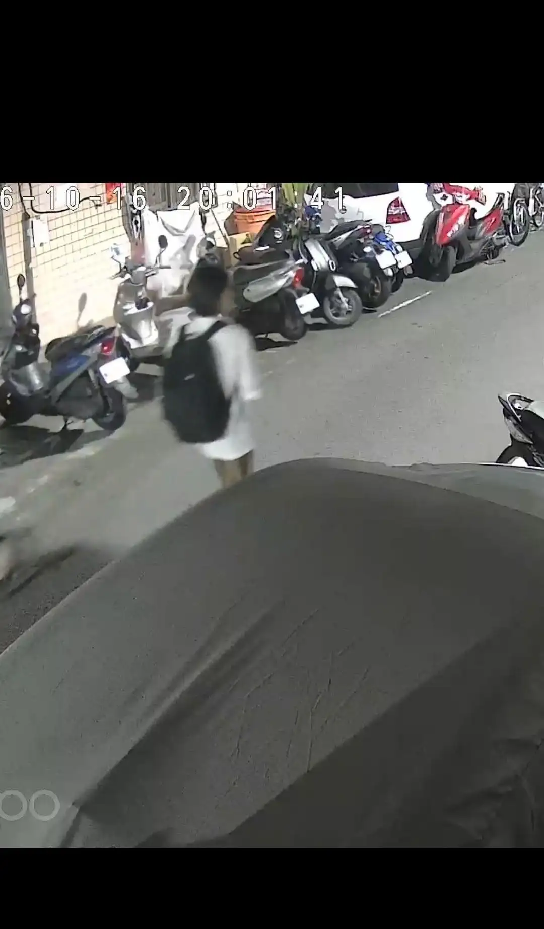 謝男學不乖。(圖/翻攝自我與街貓的距離臉書)