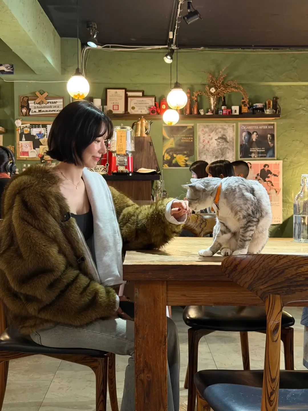 宮脇咲良到鴨埠咖啡覓食,開心與店貓玩耍。(圖/翻攝自sakura IG)