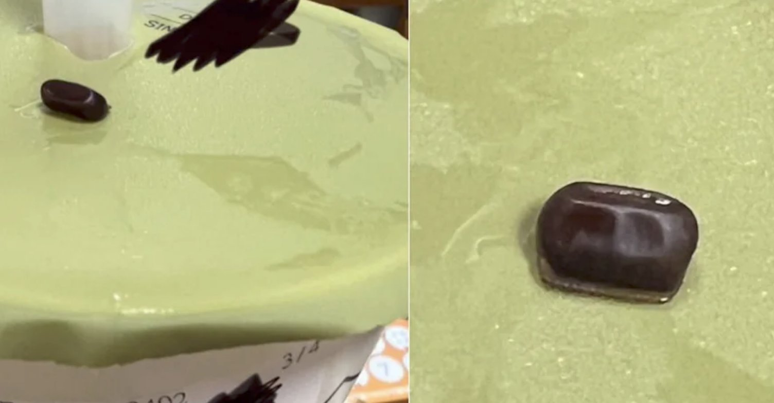 網友表示買大茗飲料喝到蟑螂蛋。（圖／翻攝Threads）