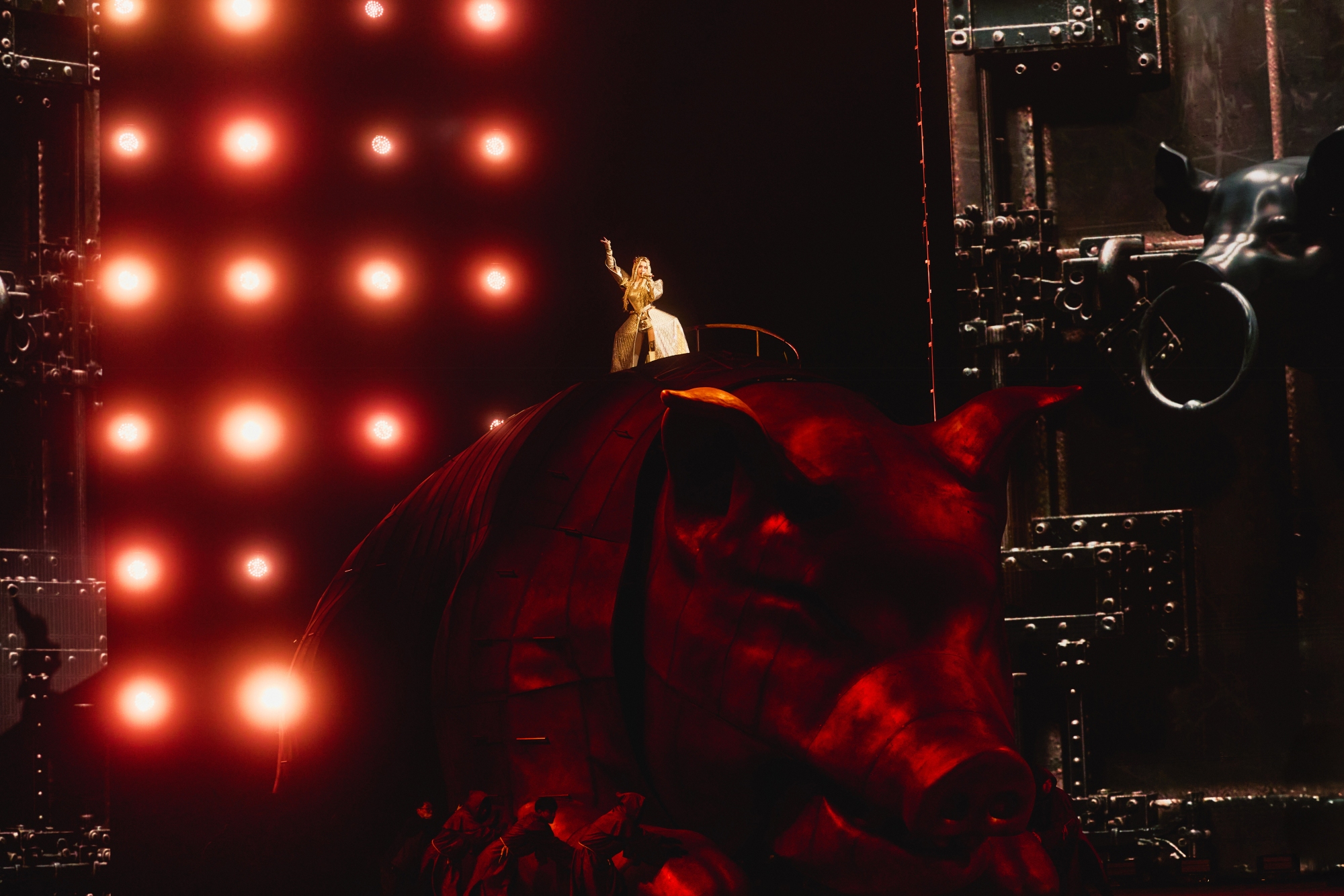 蔡依林騎價值3600萬的巨型金豬現身。（圖／凌時差提供）