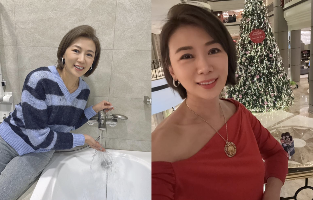 連靜雯罕曝淡出關鍵。（圖／連靜雯FB）