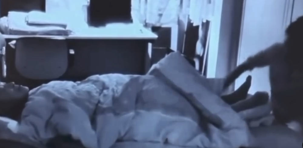 李運慶兄駁「照顧外包」給洪詩。（圖／翻攝Threads）