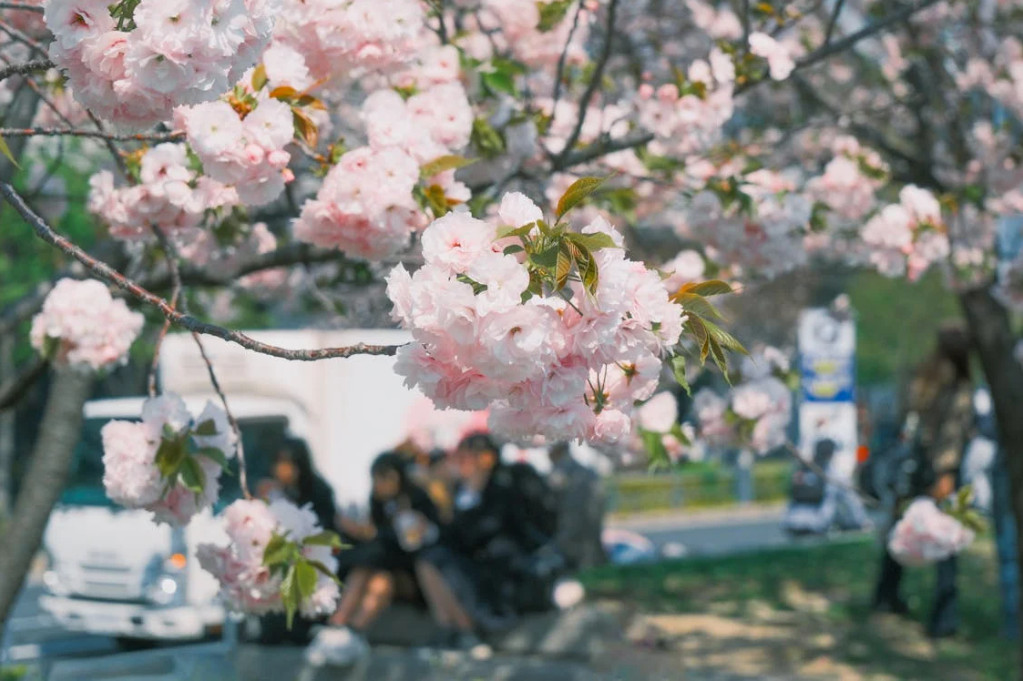 本周天氣不穩定，降雨型態反覆。（示意圖／翻攝自pexels）