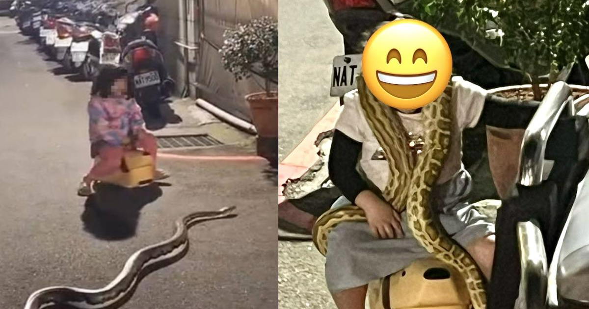 蘆洲驚見蟒蛇!女童騎學步車淡定掛脖。(圖/翻攝FB「我是蘆洲人」)