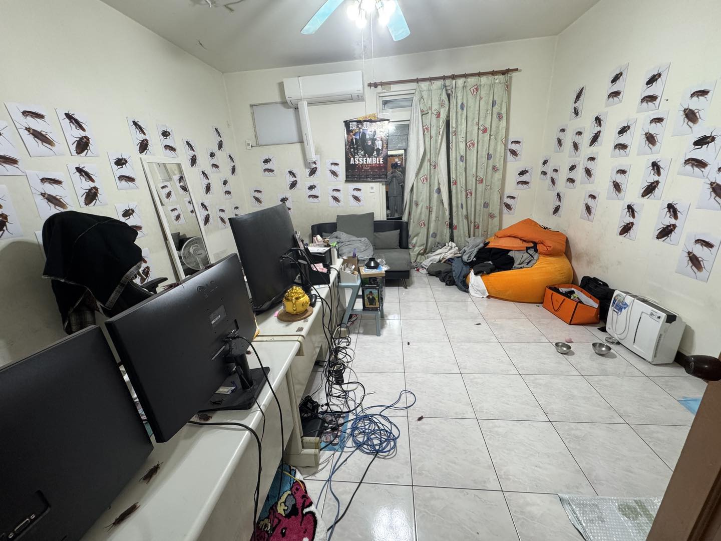 洋蔥的工作室滿滿的都是蟑螂。(圖/翻攝自Onion man臉書)