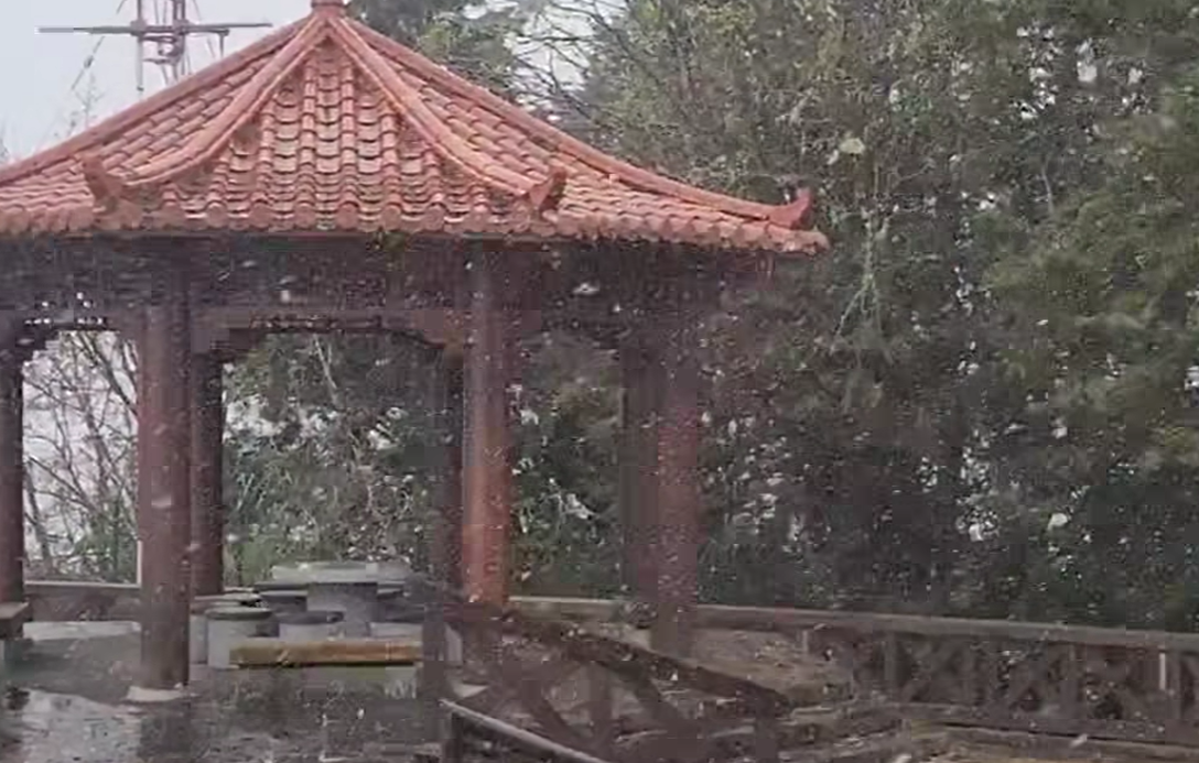 阿里山飄雪20分鐘雪景曝。（圖／阿里山國家森林遊樂園區）