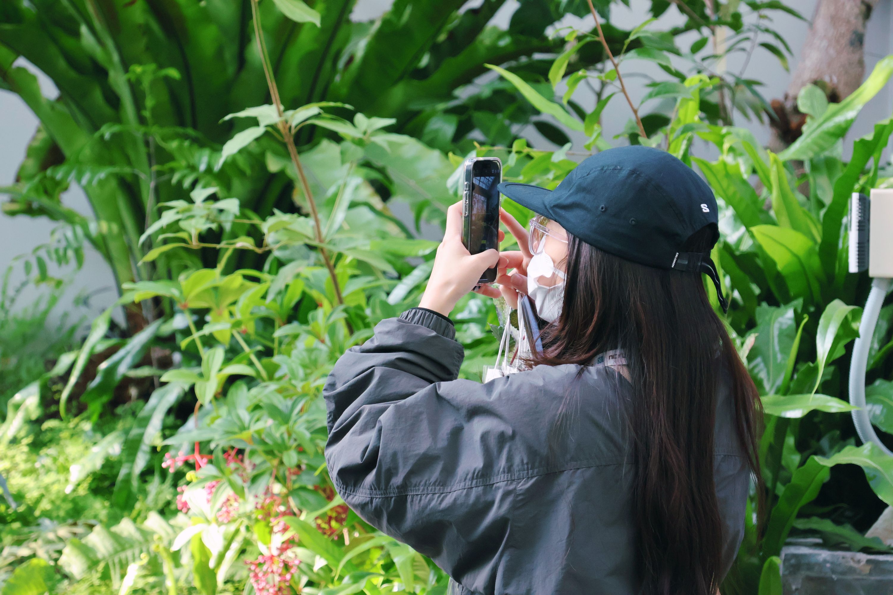 《野地之詩-臺灣原生草花的棲地記憶》特展於植物園特展室展出。(圖/國立自然科學博物館提供)