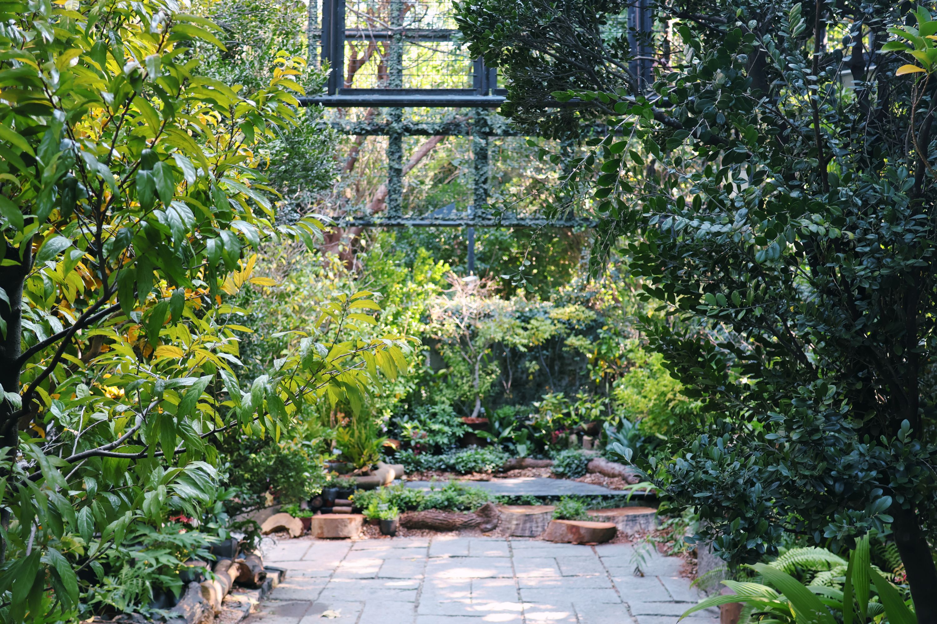 本次特展橫跨晚冬、春季至盛夏,展場中的原生草花將隨著季節推移展現截然不同的生長樣貌。(圖/國立自然科學博物館提供)