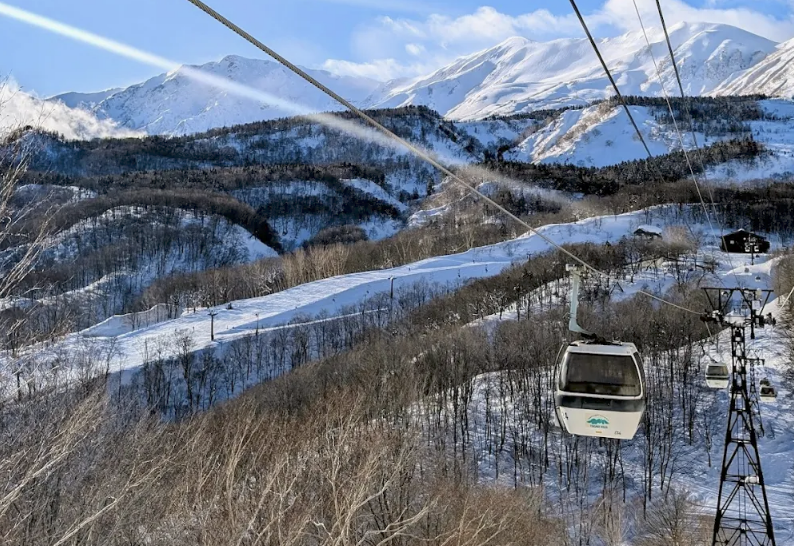 日本栂池高原滑雪場22歲女「遭纜車拖走」。（圖／翻攝Google Maps）