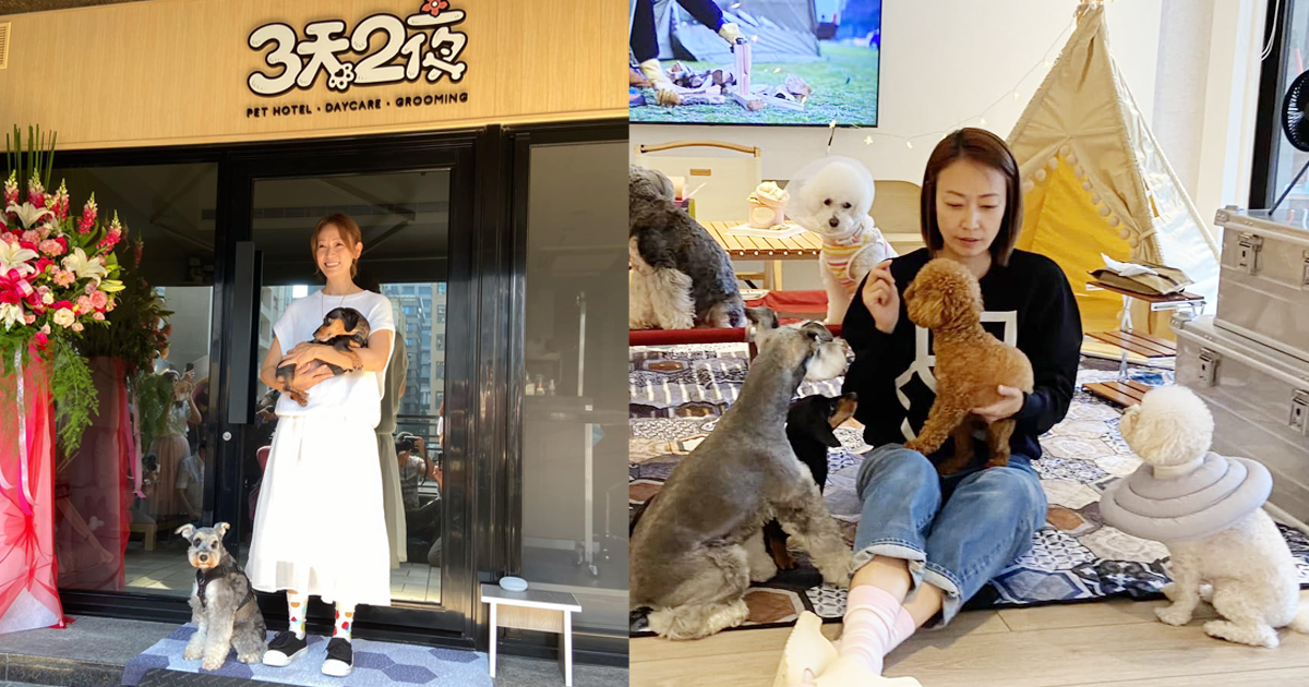 潘慧如慘賠千萬收攤寵物旅館。（圖／翻攝潘慧如FB）