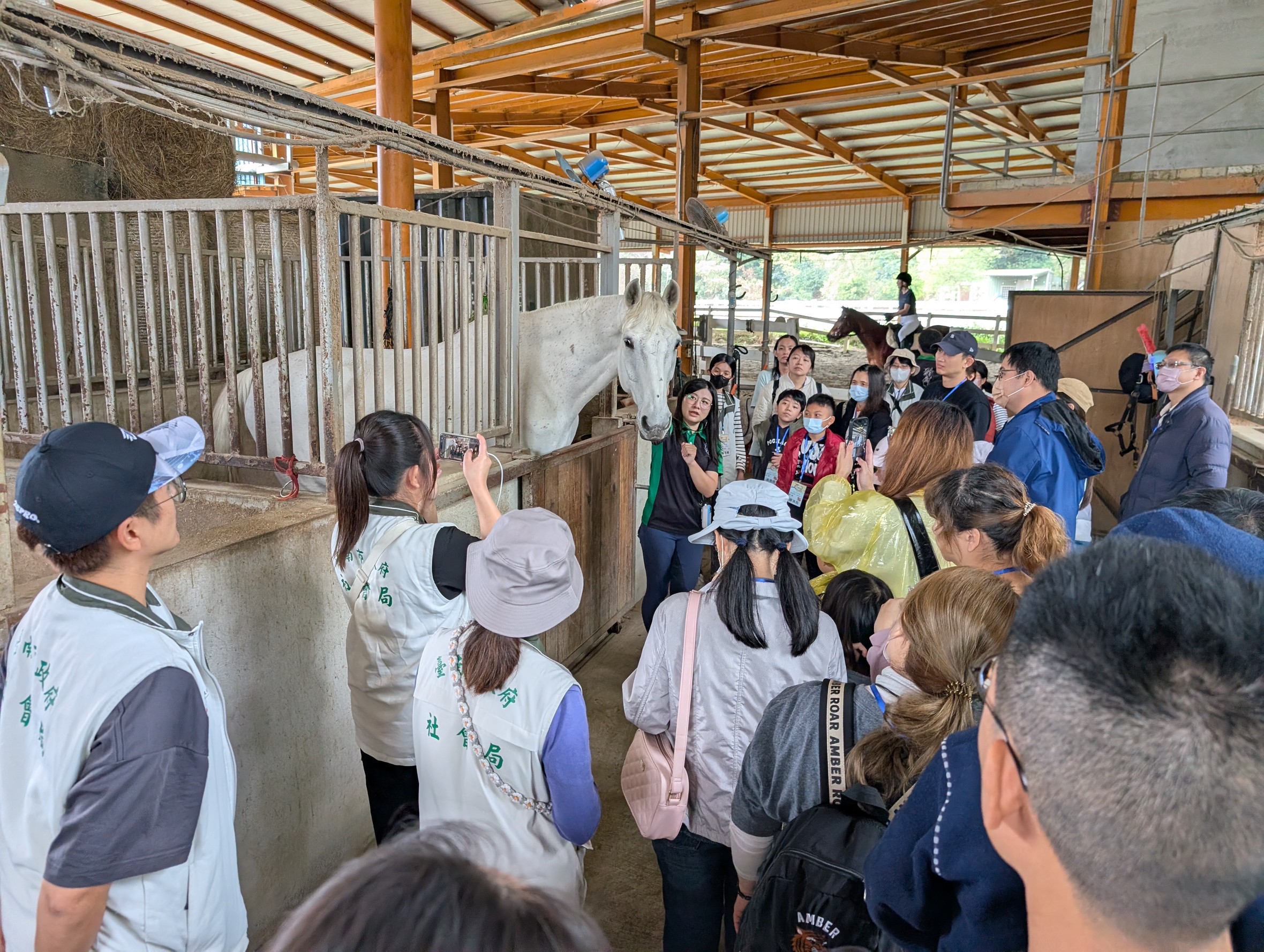 臺南市政府社會局辦理「感官旅程．馬背慢行」身心障礙學童冬令營。（圖／臺南市政府提供）