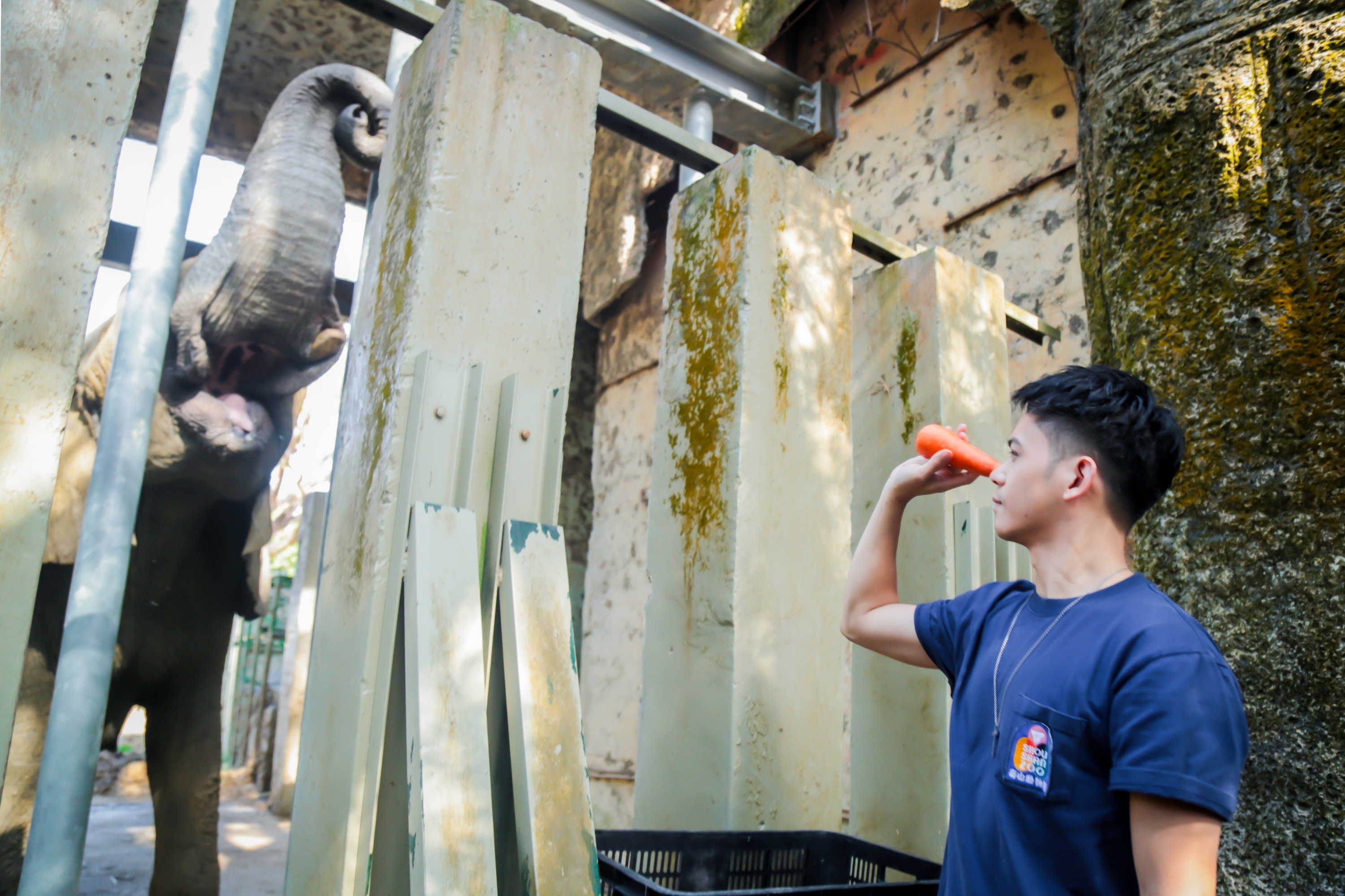 李淳睽違一年再訪非洲象阿里，記得彼此且默契依舊。（圖／南瓜電影提供）