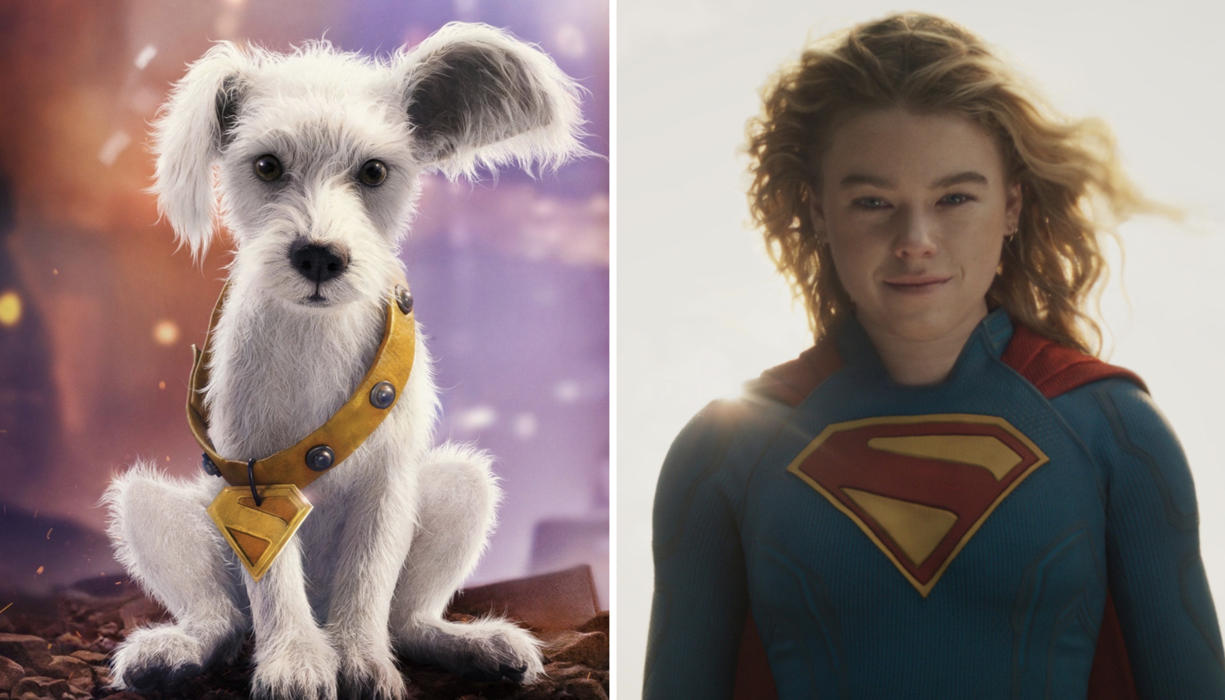 （圖／華納提供）