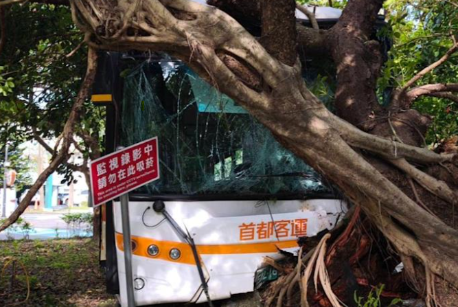 內湖公車撞樹。（圖／翻攝畫面）