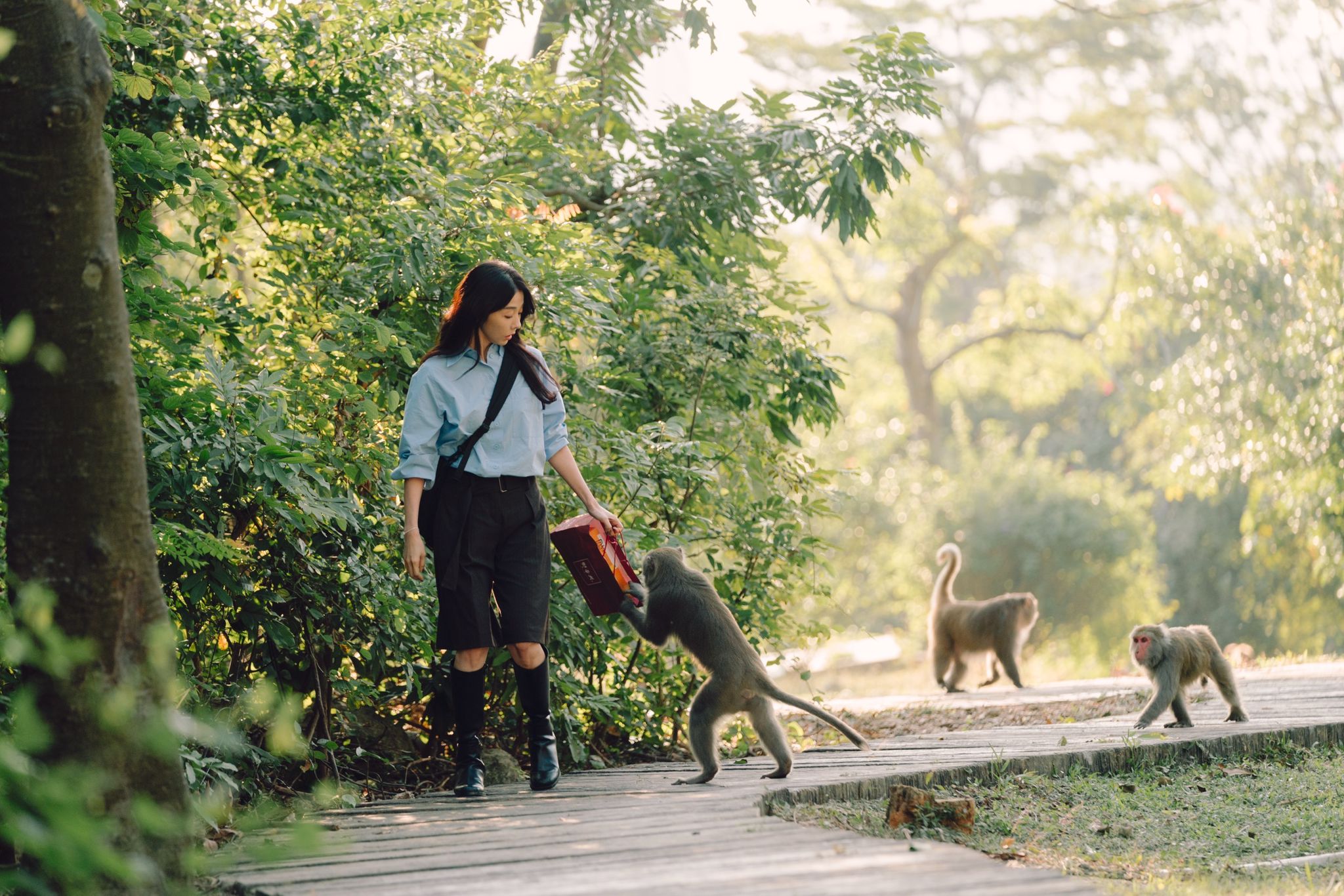 邵雨薇被猴群包圍戲互動可愛。（圖／Disney+提供）