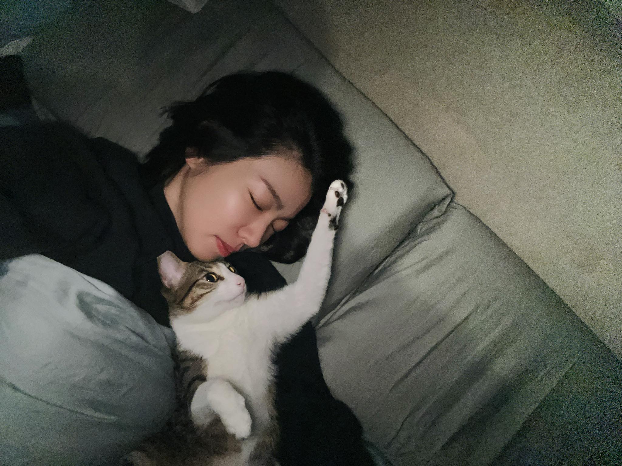 杜告犬「健康」成白骨，米可白難過發聲。（圖／翻攝自米可白臉書）