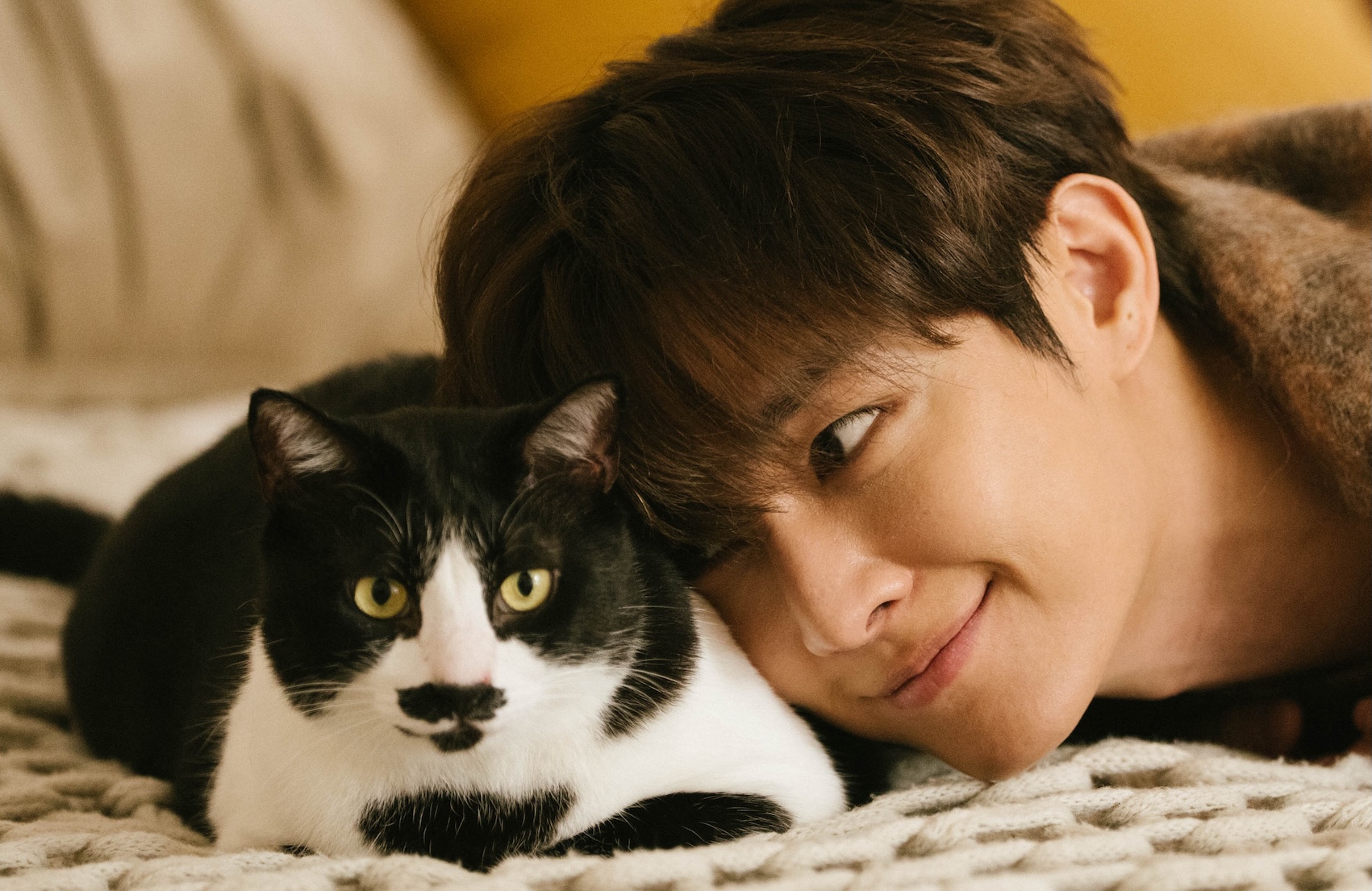 炎亞綸在新歌中化身獨居男子領養老貓。（圖／晴空鳥提供）