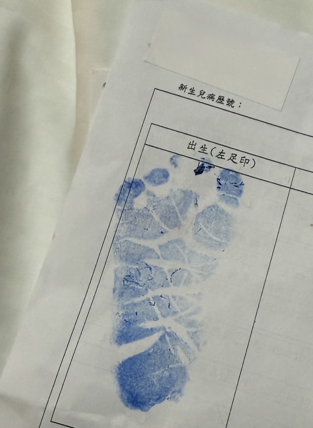 焦凡凡、婁峻碩兒子誕生。（圖／伊弗龐金有限公司)