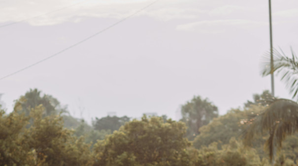 今天東北季風減弱，北部及東北部氣溫回升。（示意圖／翻攝自pexels）