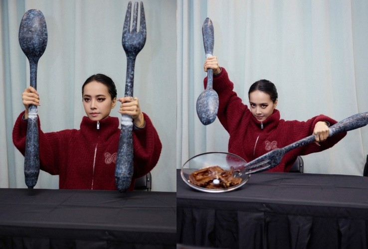 蔡依林大玩網路迷因哏「雪山救狐狸」。（圖／翻攝自蔡依林工作室微博）