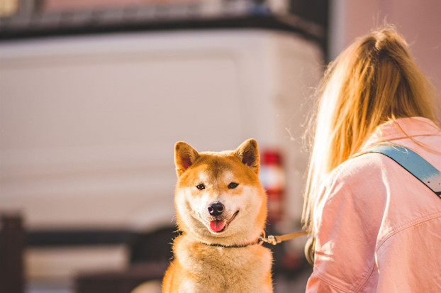 今天各地大多為多雲到晴的天氣，明天受鋒面影響，北部及東北部有局部短暫雨。（示意圖／翻攝自pixabay）