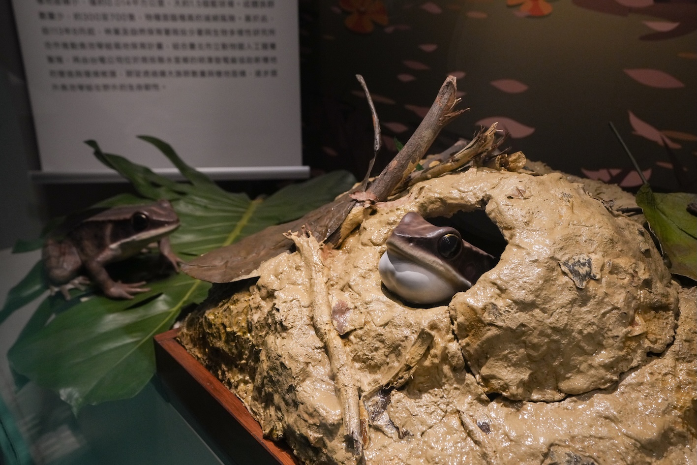 台電跨界攜手國立自然科學博物館推出「自然共生‧生態嚮艷」生態特展。(圖/科博館提供)