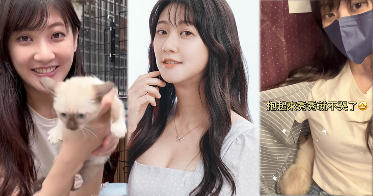 林逸欣高鐵放3送養幼貓出籠遭轟。（圖／林逸欣Instagram）