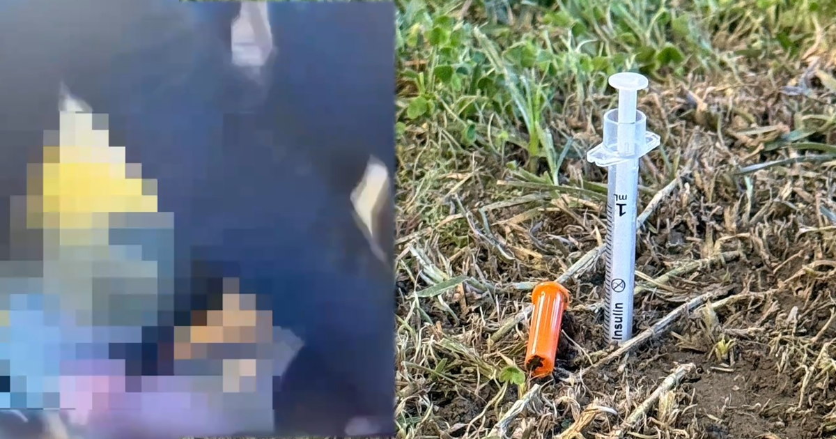 38歲男疑吸安非他命失控　半裸狂奔「貼車窗」。（圖／翻攝畫面）