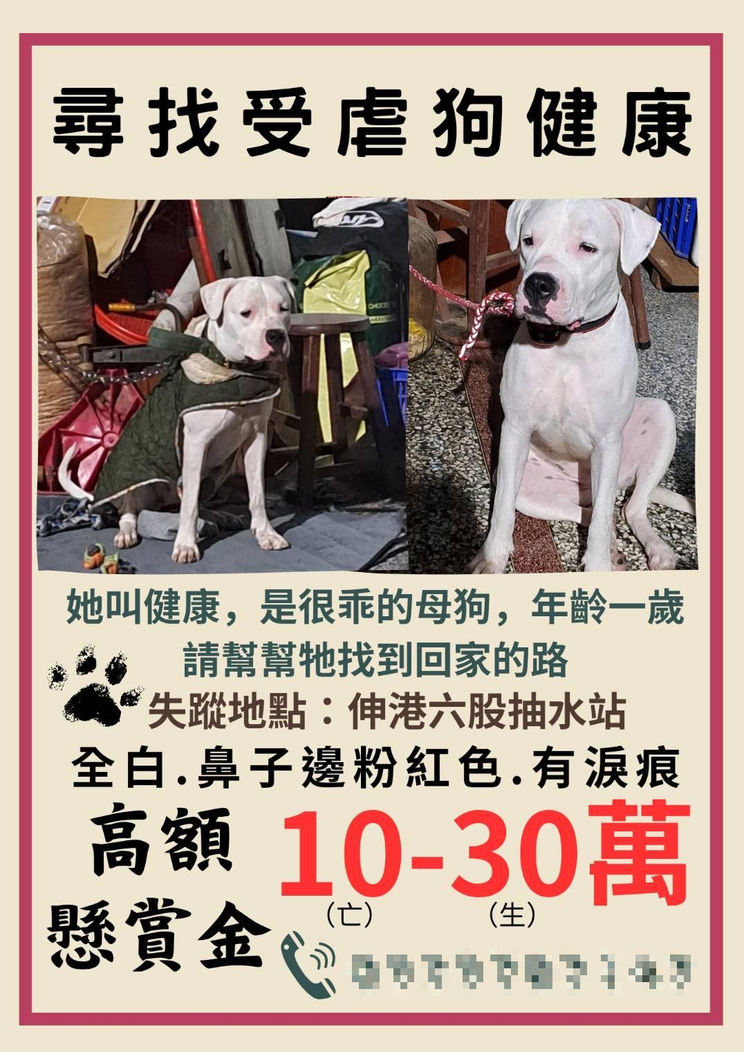 愛狗人士貼出懸賞,強調「生要見狗、死要見屍」。(圖/翻攝自彰化縣媒體記者協會臉書)
