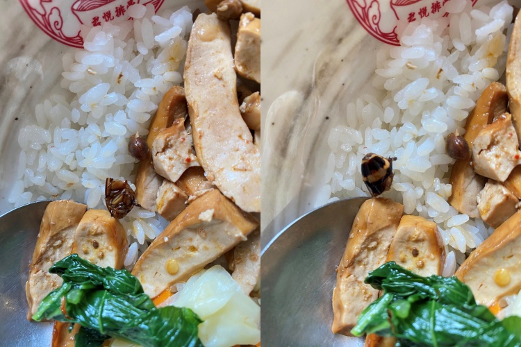 店長承諾換一份餐點，但顧客已經不敢再吃。（圖／翻攝自爆料公社公開版）