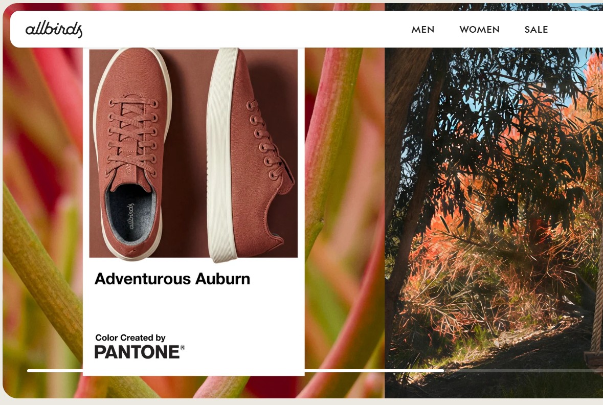 （圖／翻攝自Allbirds官網）