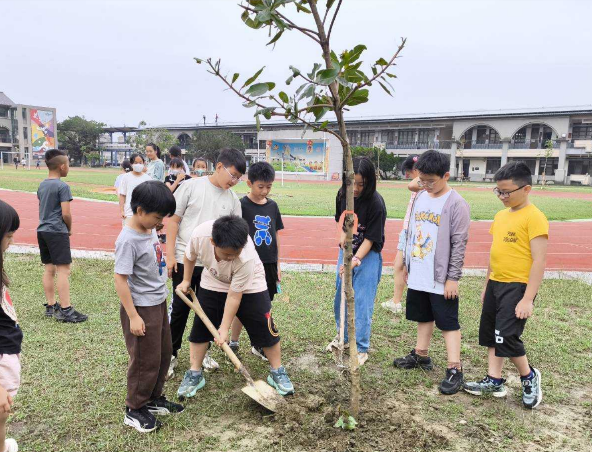 學甲國小補植照片。（圖／台南市政府提供）