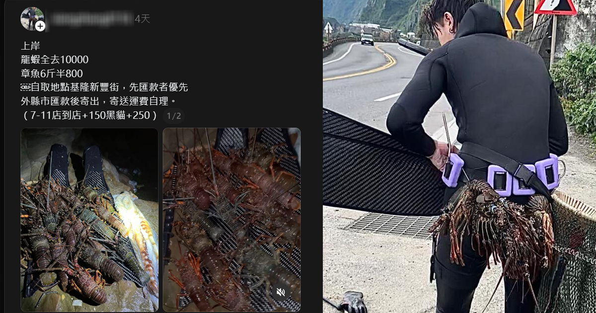 海獵人違法抓龍蝦還嗆「被抓500次」。（圖／翻攝FB）