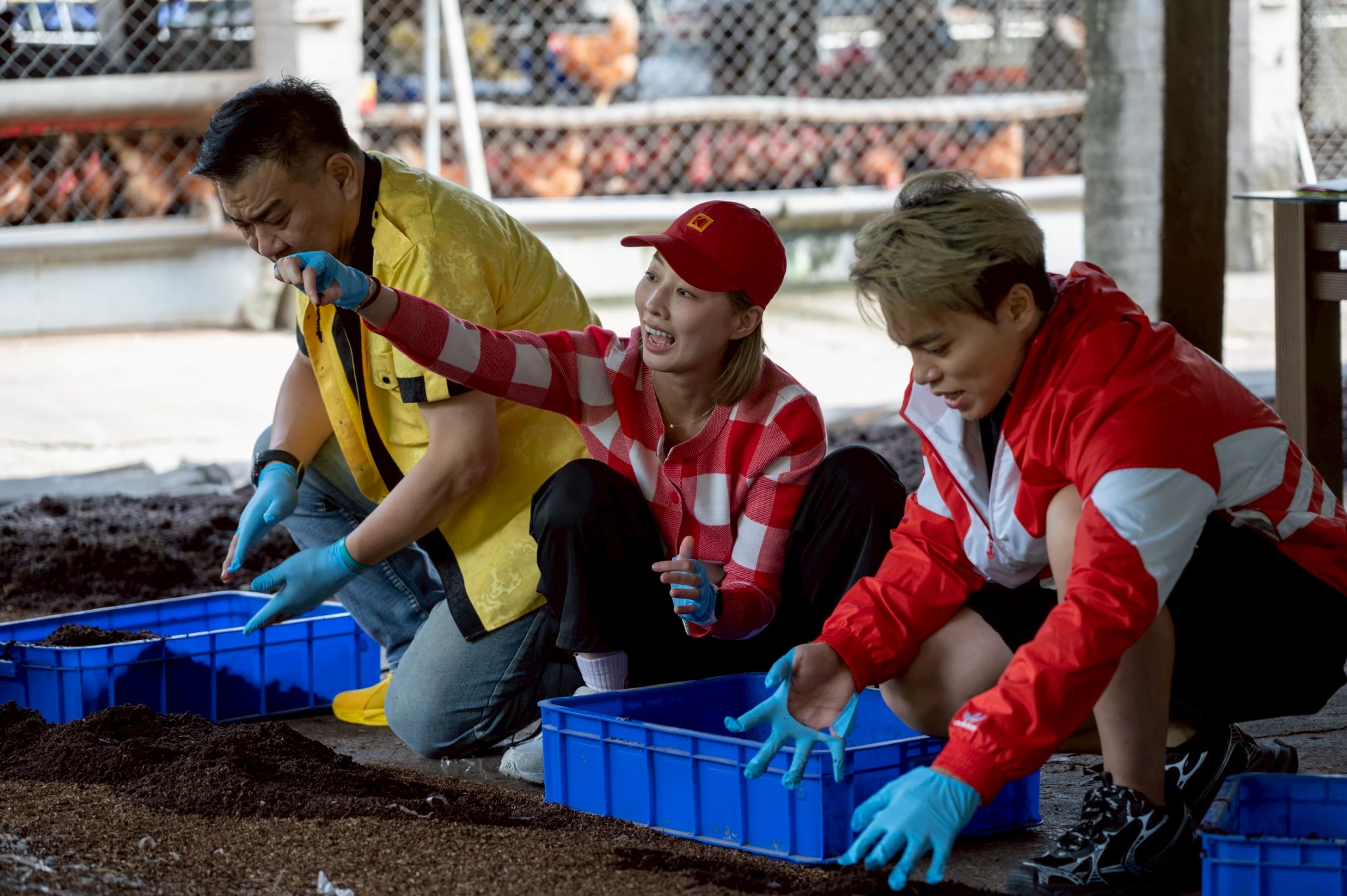 白雲（左起）、夏語心、海產整理土壤。（圖／公視台語台提供）
