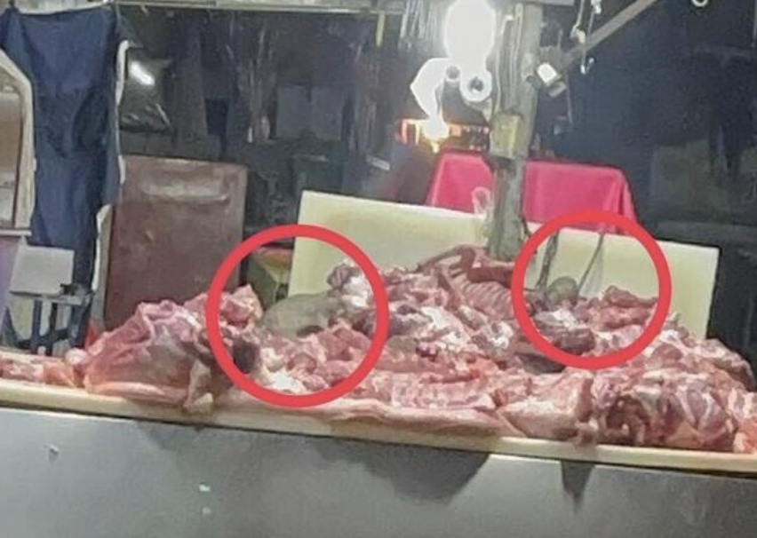 鳳山區驚傳老鼠上攤咬肉。（圖／翻攝Threads）